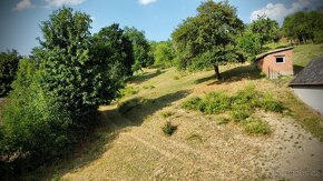 Stavební pozemek Jankovice se zahradou a sadem 10 086m2 - 2