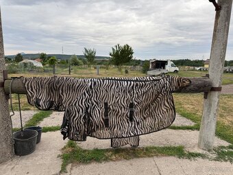 Deka síťovaná HKM Zebra s krkem, 135 cm - 2