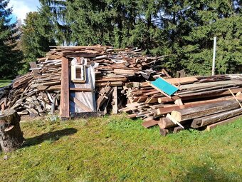 Palivové dřevo z bouračky ca. 8-10 m3 za odvoz - 2