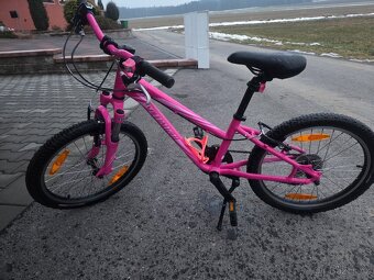 Dětské Kolo Specialized Hotrock 24 - 2