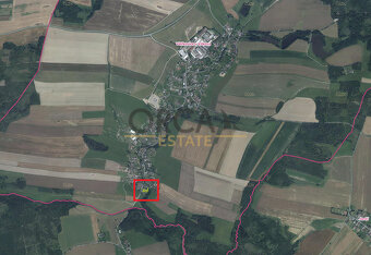 Trvalý travní porost v k. ú. Větřkovice u Vítkova - 2