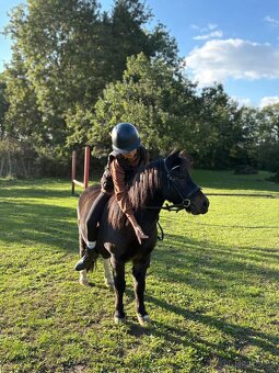 Prodám- pony - 2