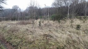 Nabízím k prodeji atraktivní pozemky, KÚ Služátky - 2