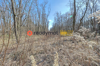 Prodej lesa, Dubňany, 5 323 m2 - 2