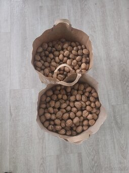 Neloupané vlašské ořechy - 2