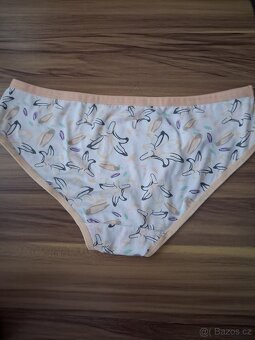 Dámské kalhotky - 2