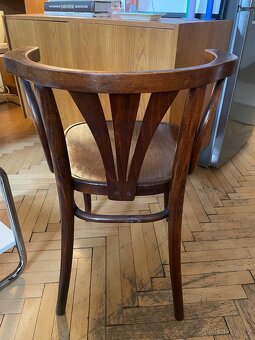Židle Thonet - 2