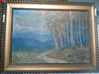 Prodám 2 ks obrazu - 2