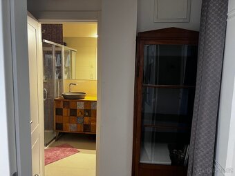 1+KK 26m2 Vinohrady vhodne pro Masaze - 2