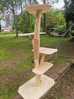 Kočičí strom - 2