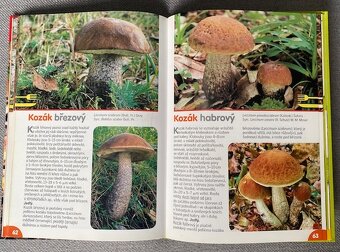 3x HOUBY: Kapesní atlas hub, Houbařská kuchařka, Receptář - 2