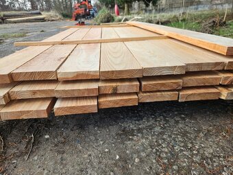 Modřínová prkna - 2