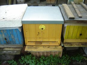 Včelstva na devíti nebo 11 rámcích - 2