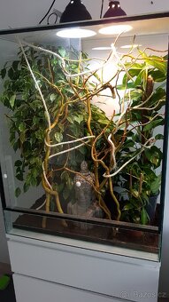Terárium pro chameleóna š80, v100, h50 - 2