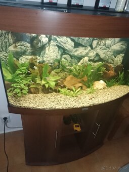 Prodám akvarium Juwel 180 litrů - 2