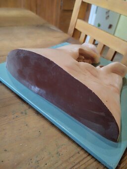 Anatomický model prasečí rypák 60 léta 20 století - 2