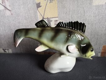 Royal dux ryba okoun top stav - 2