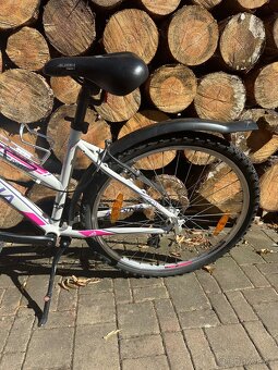 ALPINA Eco 10 lm “26” S - 2