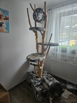 Kočičí strom, škrabadlo pro kočky - 2