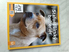 Špicové Stafordšírský bulteriér Kokršpaněl, kavalír King Cha - 2