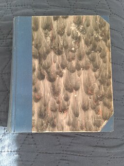 Šlechtic lord, E. D. Southworthová - 2