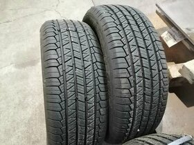 Pneu RIKEN 701 215/60 R17 SUV, 4X4 - 2