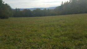 Prodám louku 5800m2 - 2