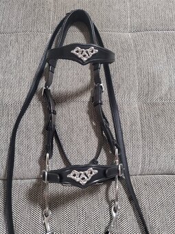 Hackamore - 2