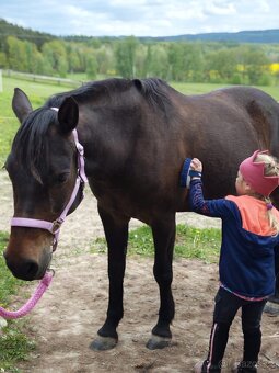 Svezení a výuka na pony klisně - 2