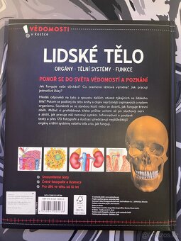 Lidské tělo – Orgány, tělní systémy, funkce (jako nová) - 2