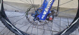 Dospele kolo Pell's - 2