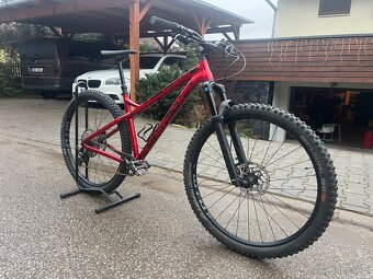 Dartmoor primal 29 - 2