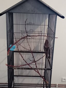 Klec na kolečkach - 2