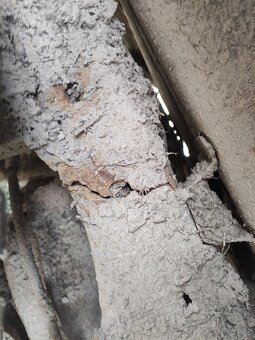 Nissan Navara d22 2.5 98kw - 2