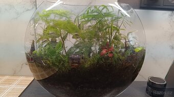 Mossarium - 2