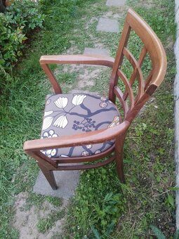 Židle s područkami - 2