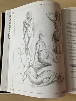 kniha Anatomie pro výtvarníky - 2