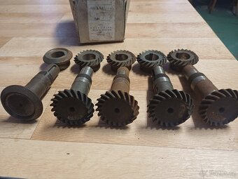 Hridele s ozubenim. - 2