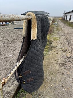 Kentucky stájová termodeka - 2