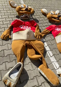 Maskot/kostým Ríša - 2