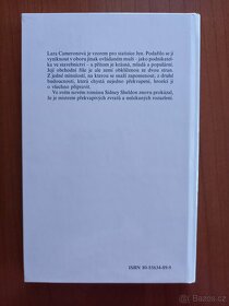 Sidney Sheldon: hvězdy svítí z výšky - 2