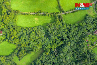 Prodej pastviny s lesním pozemkem 22.174 m² v Homoli u Panny - 2