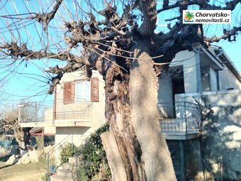 Prodej, dům, 2 000 m poz., , , Česko - 2