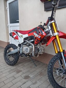 Pitbike WPB 140 - 2