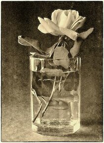Vázu, sklenici na fotografii koupím - 2