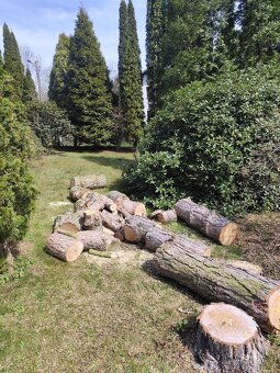 Špalky Borovice - 2
