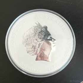 Stříbrná mince 10oz Year of Pig 2019 lunární série - 2