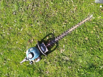 Půjčím plotostřih Makita 60 cm. - 2