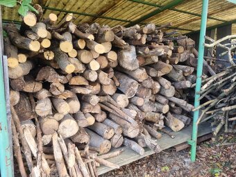 Prodám tvrdé palivové dřevo - 2