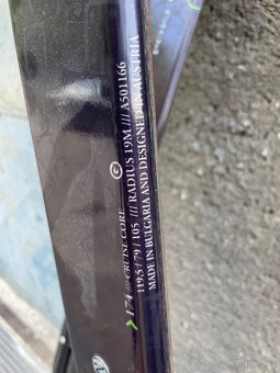 lyže DYNAMIC Poker King - 2